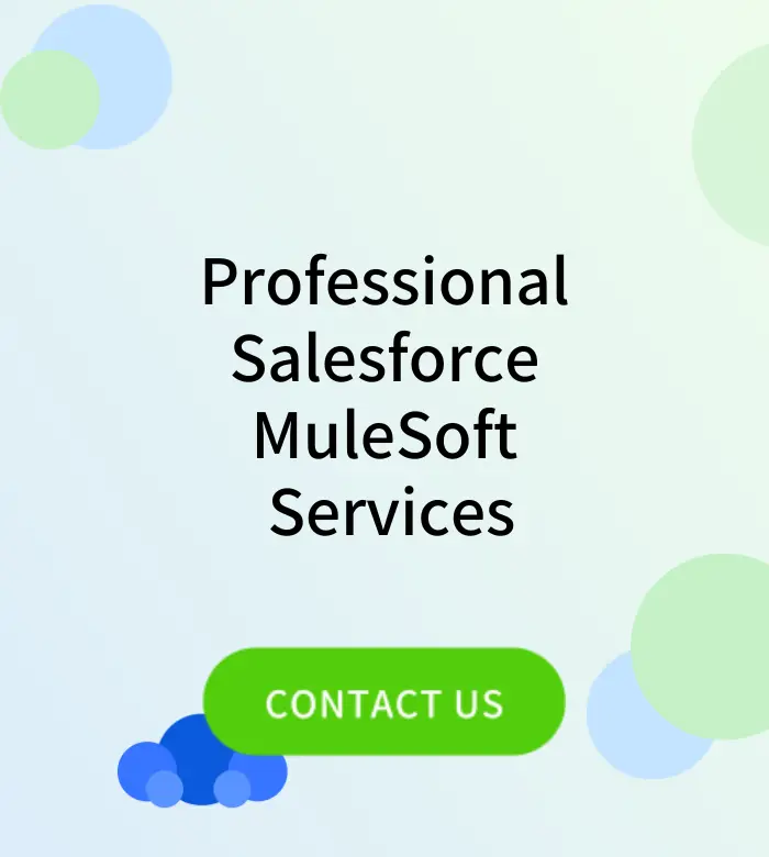 Professional Salesforce MuleSoft Services
